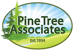 Pine Tree Associates